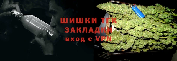ГАЛЛЮЦИНОГЕННЫЕ ГРИБЫ Магас
