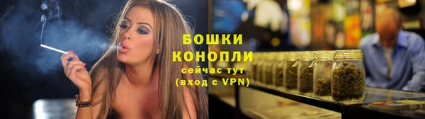 ГАЛЛЮЦИНОГЕННЫЕ ГРИБЫ Магас