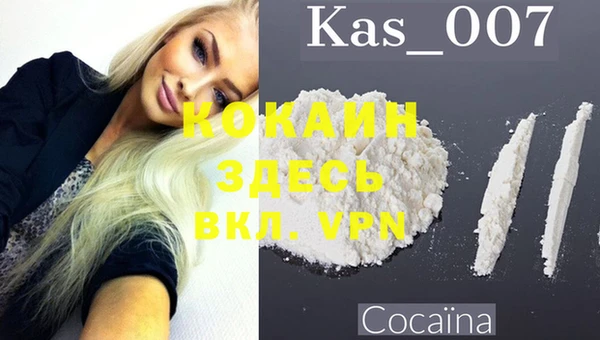 ГАЛЛЮЦИНОГЕННЫЕ ГРИБЫ Магас