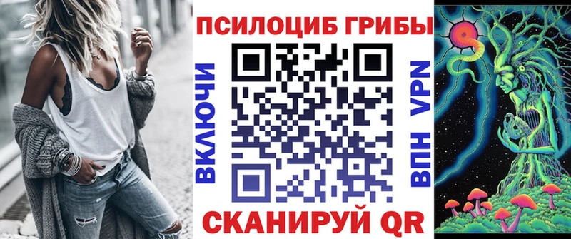 даркнет сайт  Судогда  Псилоцибиновые грибы мухоморы 
